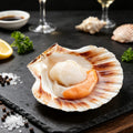 Wild Frozen Scallop Meat 1kg