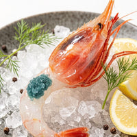 Sashimi Grade Spot Prawns 500g